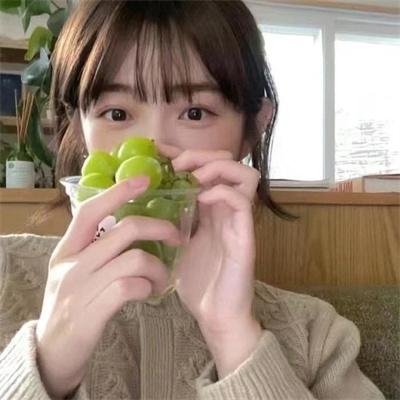 车仔西游记